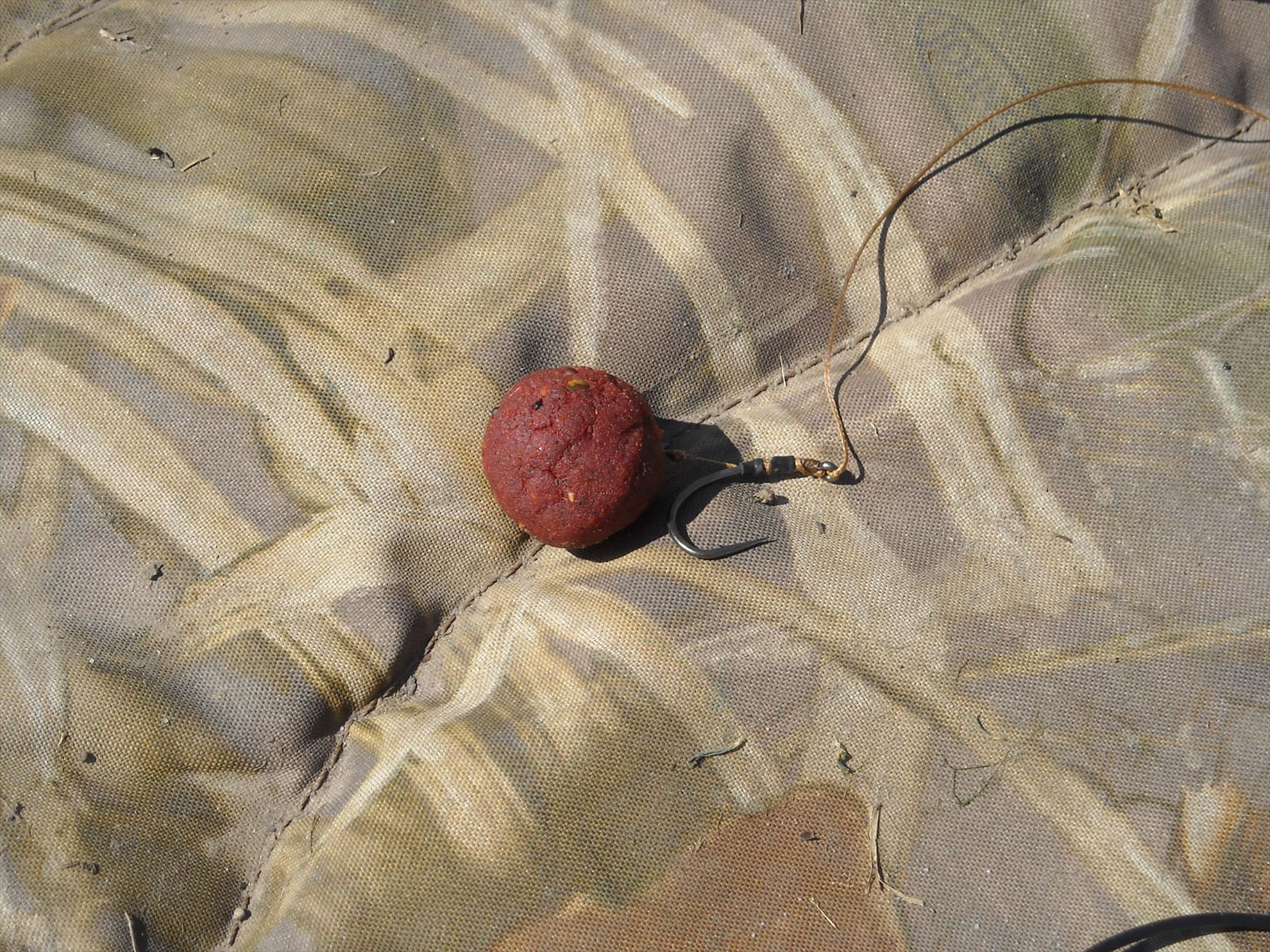 CN-2010-Chiroiu - dscn4566.jpg